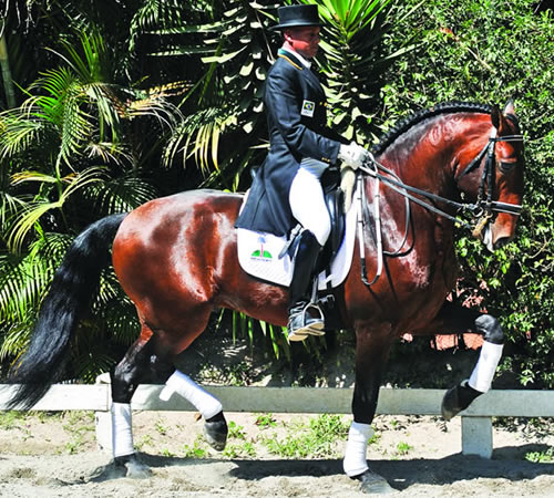 Associação Brasileira de Criadores do Cavalo Puro Sangue Lusitano (ABPSL)