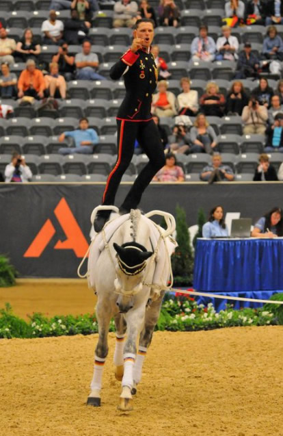 Associação Brasileira de Criadores do Cavalo Puro Sangue Lusitano (ABPSL)